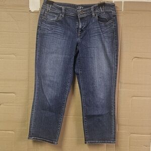 LOFT Women's Blue Jeans